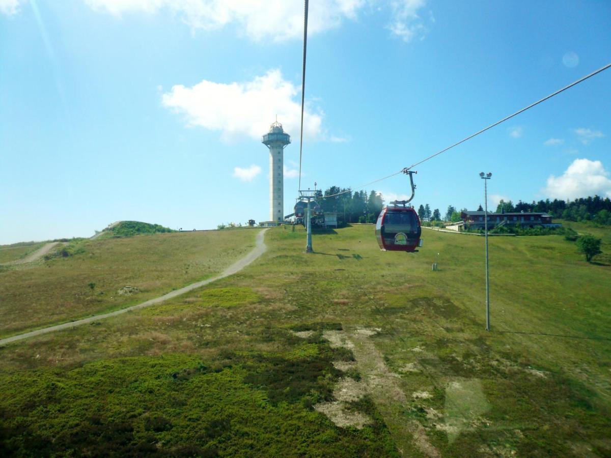 Ferienblockhaus Willingen Mit Meinecardplus Εξωτερικό φωτογραφία
